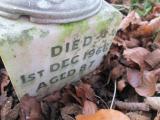 image of grave number 633058